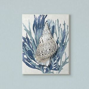 Shell Coral Framed Wall Art